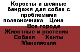 Корсеты и шейные бандажи для собак с проблемами позвоночника › Цена ­ 2 500 - Все города Животные и растения » Собаки   . Ханты-Мансийский